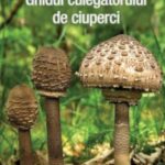 Ghid ciuperci
